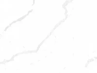 Dekor R202 PTX Statuario Bianco: powierzchnia płyty